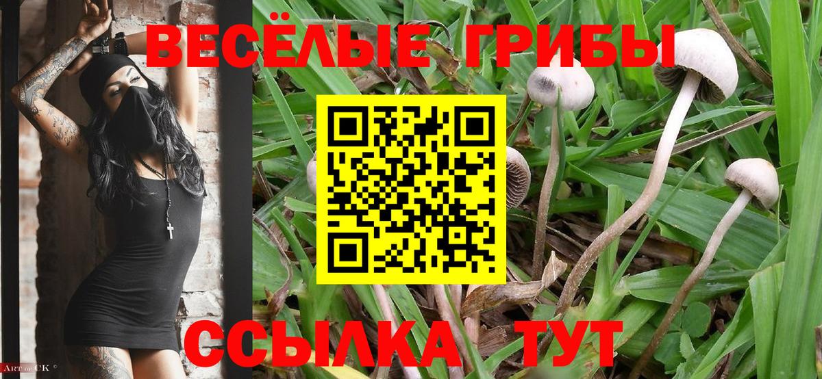 Псилоцибиновые грибы мицелий  Вход с VPN  Сатка 